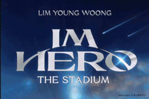 임영웅 취소표, 2024년 콘서트 티켓 가격 및 반입금지