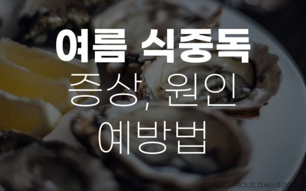 여름 식중독 증상 원인 예방법