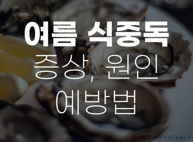 여름 식중독 증상 원인 예방법