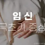 설렘 가득 임신 극초기 증상 17가지 그리고 졸음 식욕 변화 36 임신 극초기 증상 17가지 그리고 변화
