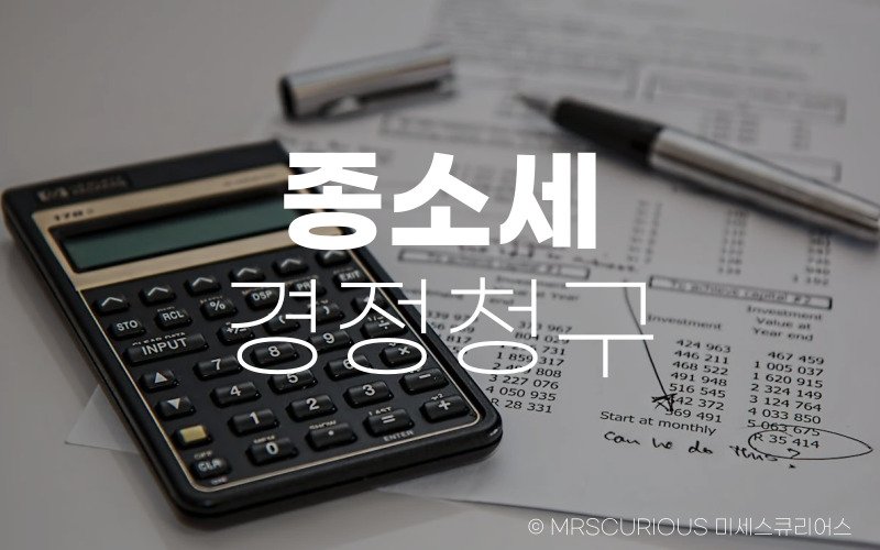 종소세 경정청구 기간, 과다 납부한 세금 돌려받는 방법 알아보기 1 종소세 경정청구 기간