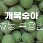 개복숭아효능 복용법: 면역력 및 기관지 등 건강좋고 맛도 좋은 이유 9 개복숭아효능 복용법