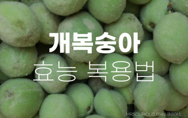 개복숭아효능 복용법: 면역력 및 기관지 등 건강좋고 맛도 좋은 이유 13 개복숭아효능 복용법