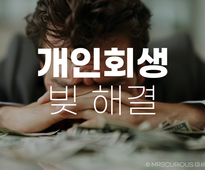 개인회생 법무법인 서앤율