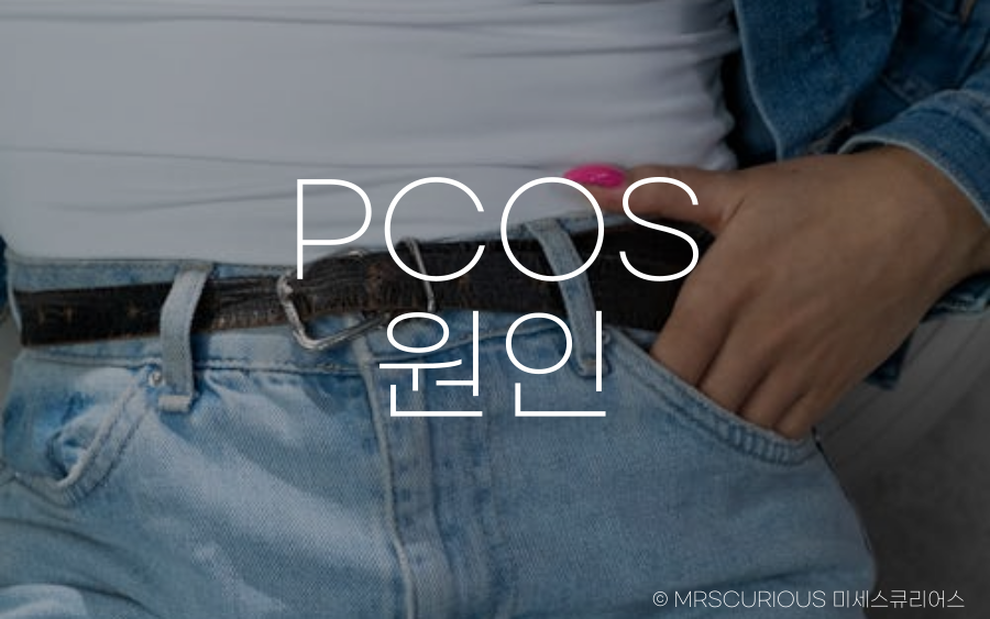 다낭성 난소 증후군 원인, 증상 및 치료방법 알아보기 2 다낭성 난소 증후군 원인2