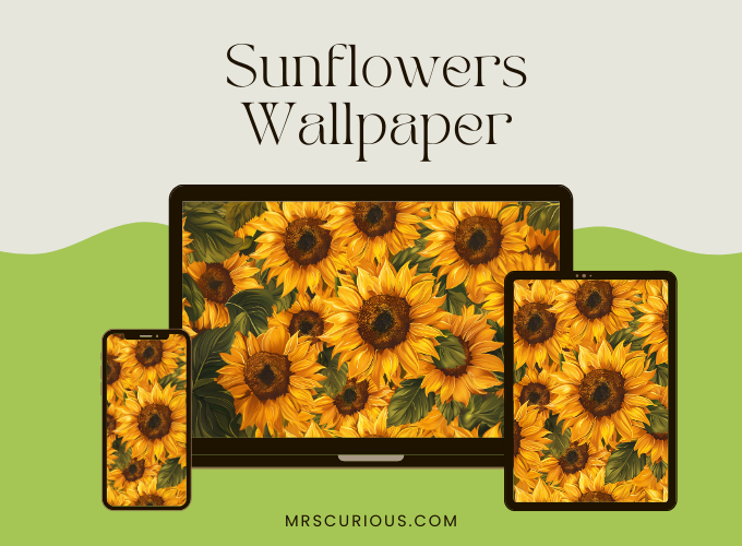 돈들어오는 배경화면 해바라기 그림 2탄 (2)