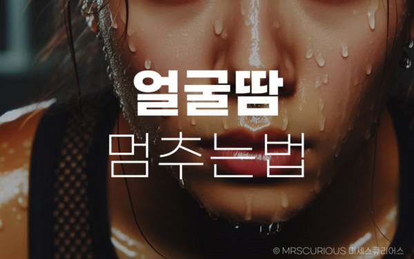 얼굴땀 관리법 및 땀 멈추는법으로 뽀송뽀송한 피부, 자신감 UP 9 얼굴땀 멈추는법 뽀송뽀송한 피부 꿀팁