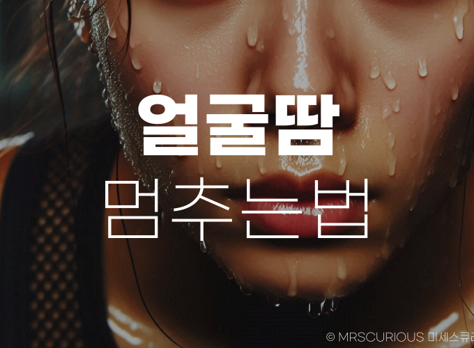 얼굴땀 멈추는법 뽀송뽀송한 피부 꿀팁