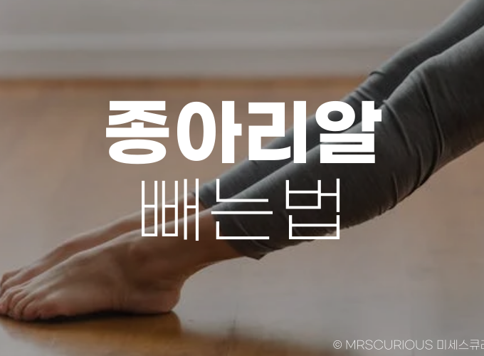 종아리알빼는법