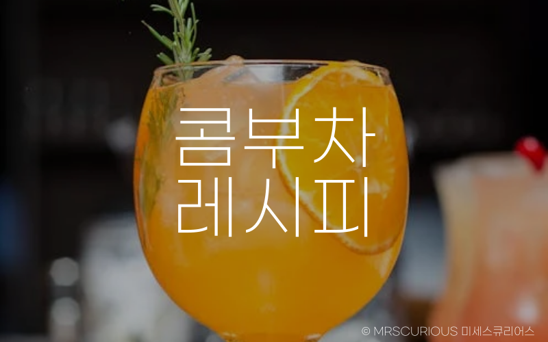 콤부차 효능 및 부작용 제대로 알고 건강하게 마시기 4 콤부차 레시피