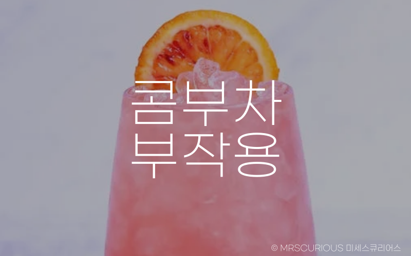 콤부차 효능 및 부작용 제대로 알고 건강하게 마시기 3 콤부차 부작용