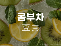 콤부차 효능 및 부작용
