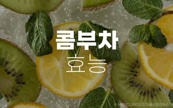 콤부차 효능 및 부작용 제대로 알고 건강하게 마시기 8 콤부차 효능 및 부작용