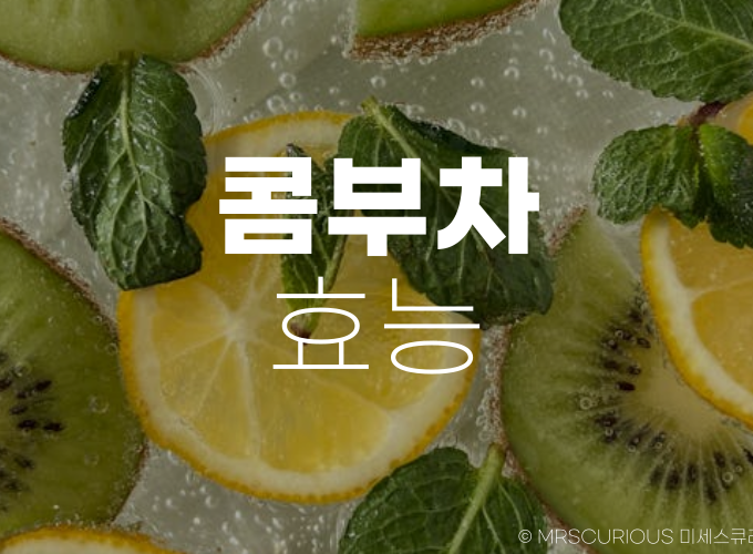 콤부차 효능 및 부작용