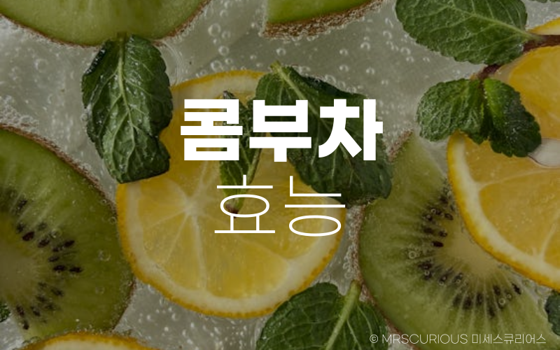 콤부차 효능 및 부작용 제대로 알고 건강하게 마시기 1 콤부차 효능 및 부작용