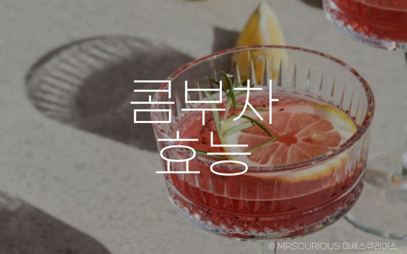 콤부차 효능 및 부작용 제대로 알고 건강하게 마시기 2 콤부차 효능