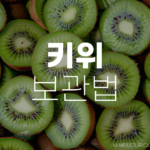 키위보관법 및 딱딱하거나 말랑할때 맛있게 즐기는 방법 7 키위보관법