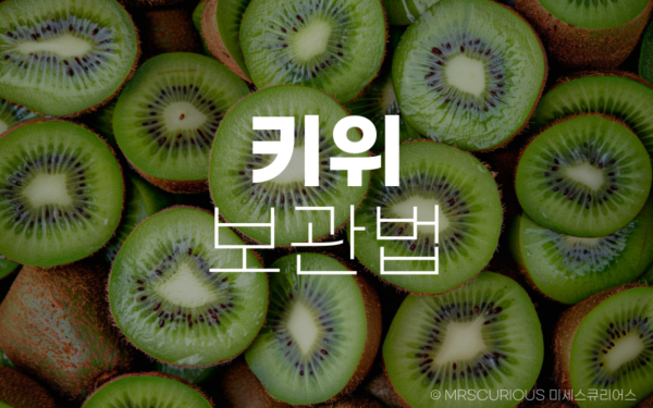 키위보관법 및 딱딱하거나 말랑할때 맛있게 즐기는 방법 7 키위보관법