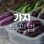 신선함을 유지하는 가지 보관법 및 놀라운 가지효능까지 알아보기 9 가지 보관법 가지효능