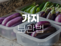 가지 보관법 가지효능