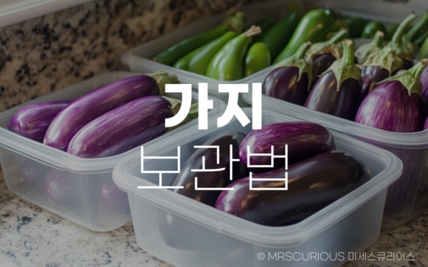 신선함을 유지하는 가지 보관법 및 놀라운 가지효능까지 알아보기 6 가지 보관법 가지효능
