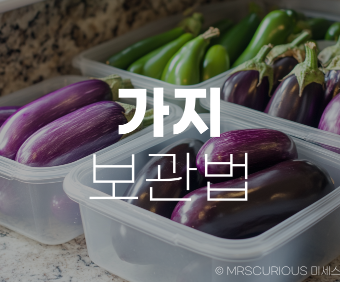 가지 보관법 가지효능